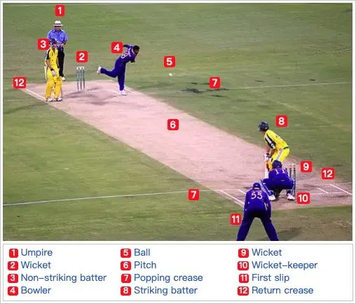 Cricket basic introduction
