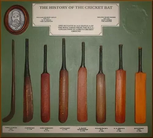 Evolution of the cricket bat