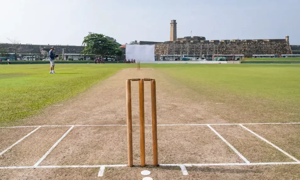Three wooden stumps